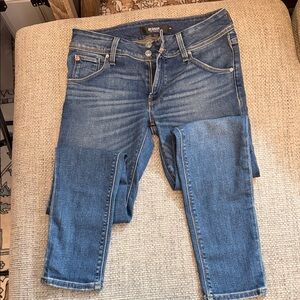 Hudson Jeans Classic Blue Skinny Denim